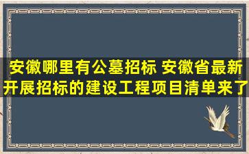 安徽哪里有公墓招标 安徽省最新开展招标的建设工程项目清单来了